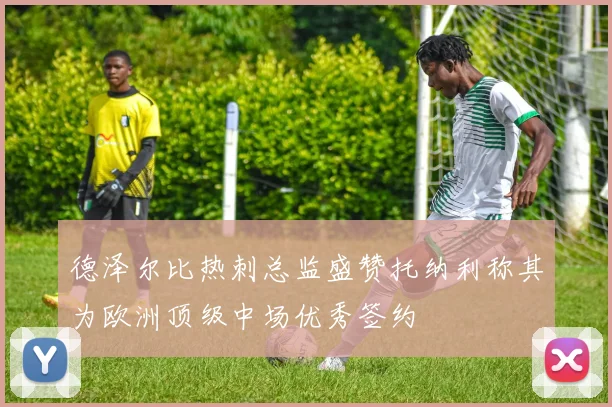 德泽尔比热刺总监盛赞托纳利称其为欧洲顶级中场优秀签约