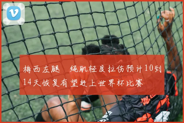 梅西左腿腘绳肌轻度拉伤预计10到14天恢复有望赶上世界杯比赛