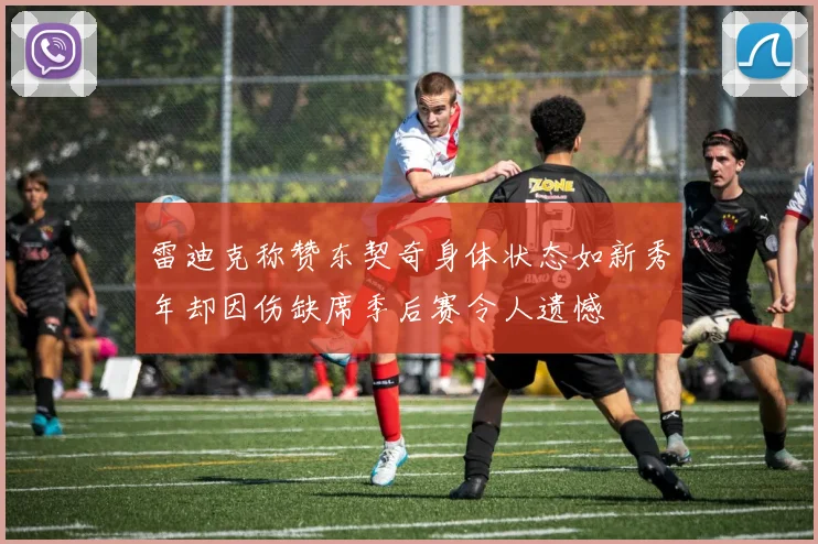 雷迪克称赞东契奇身体状态如新秀年却因伤缺席季后赛令人遗憾
