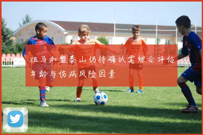 祖马加盟泰山仍待确认需综合评估年龄与伤病风险因素